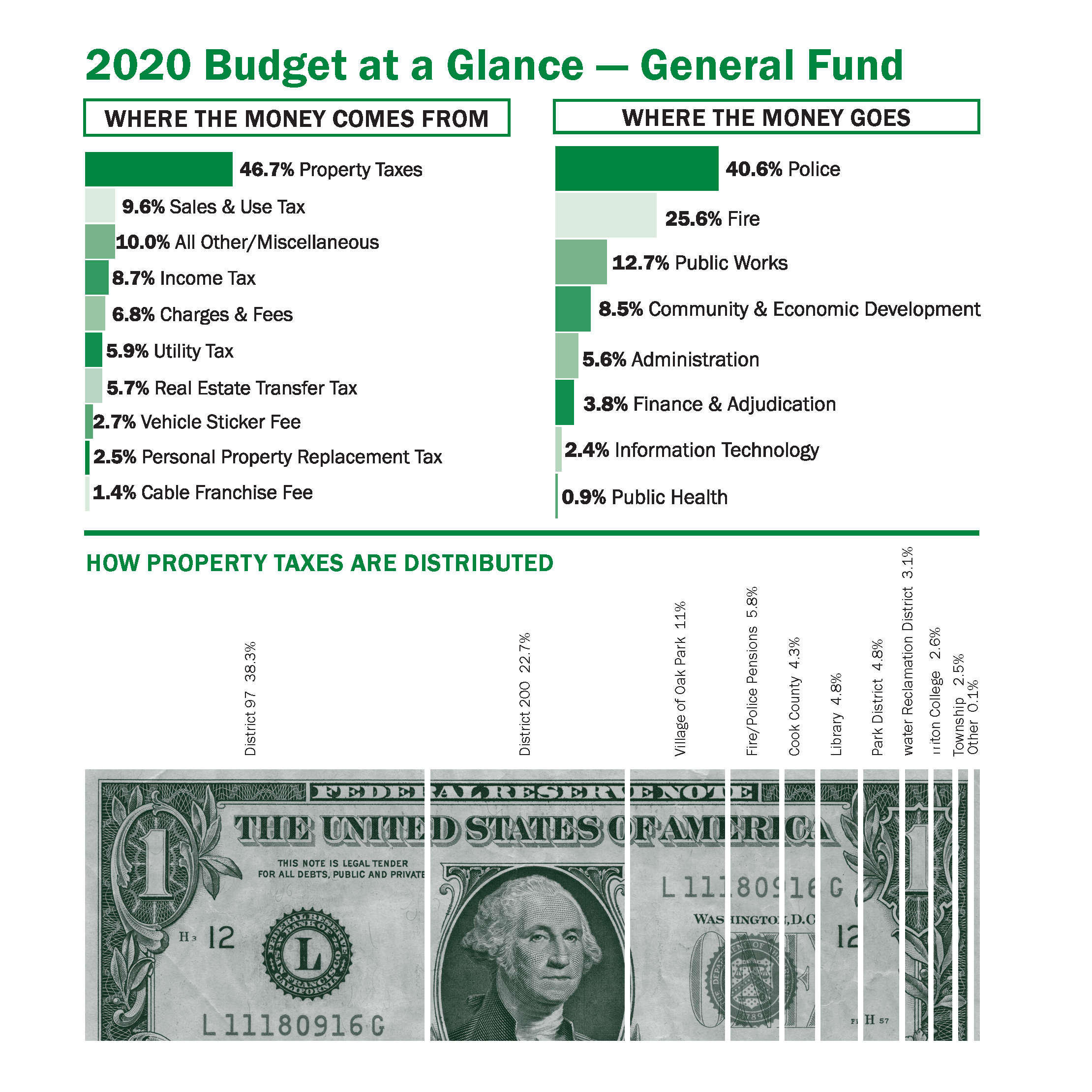 Graphic of the 2020 Village Budget that links to a larger PDF version