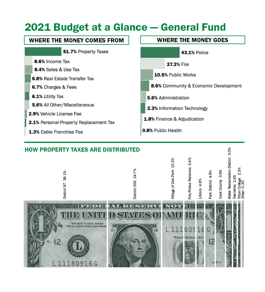 graphic of 2021 budget data
